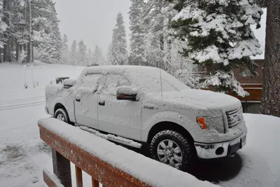 DSC_6656 (Large).JPG